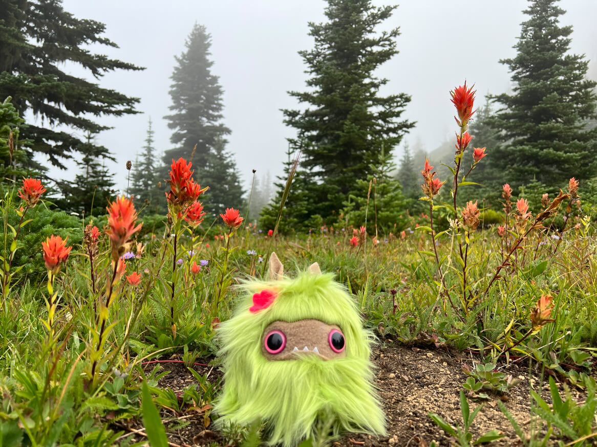 Small green faux fur creature sits at bottom of frame surrounded by nature.