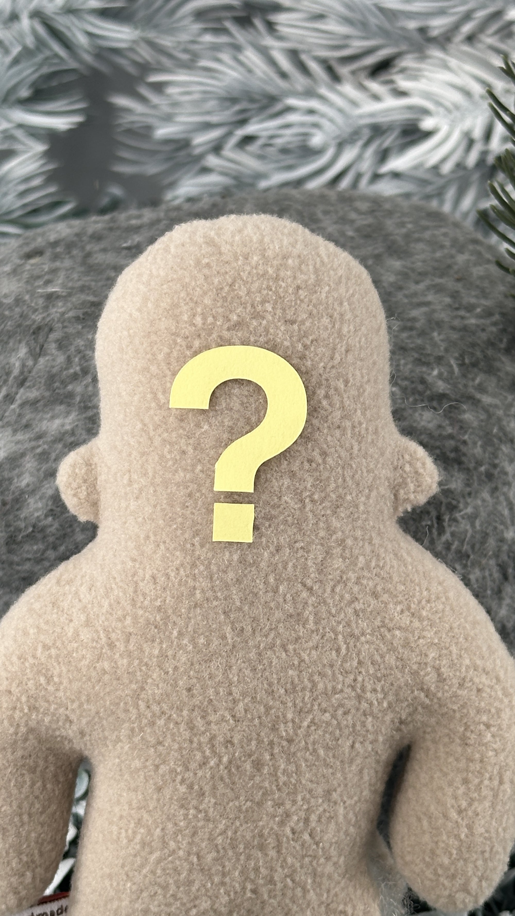 A sand colored fleece figure with a question mark for a face sits against a grey textured background.