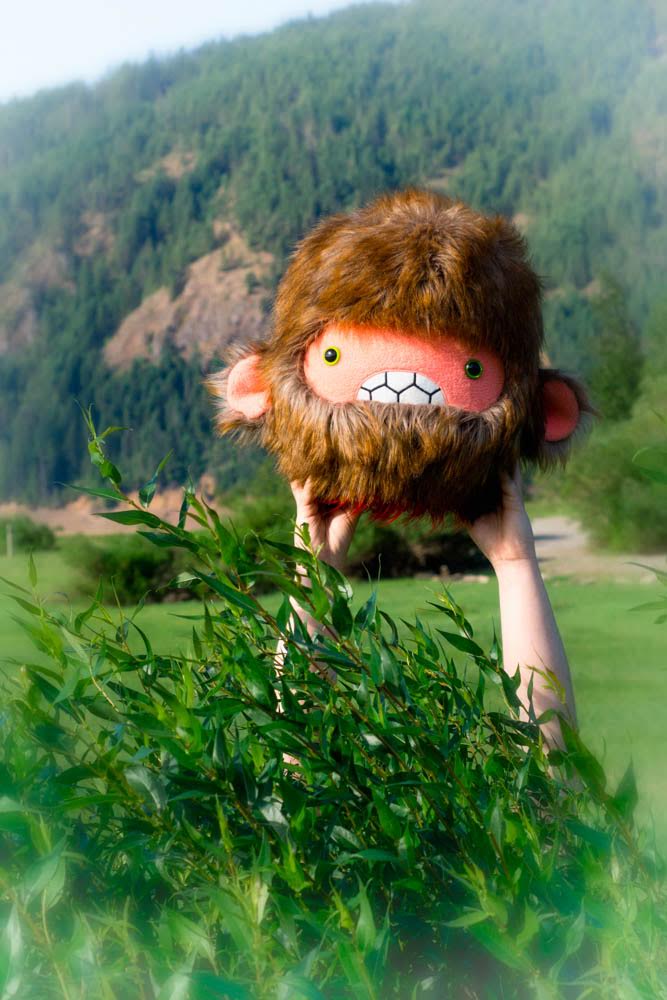 A severed sasquatch plush head being held aloft a bush by two arms.